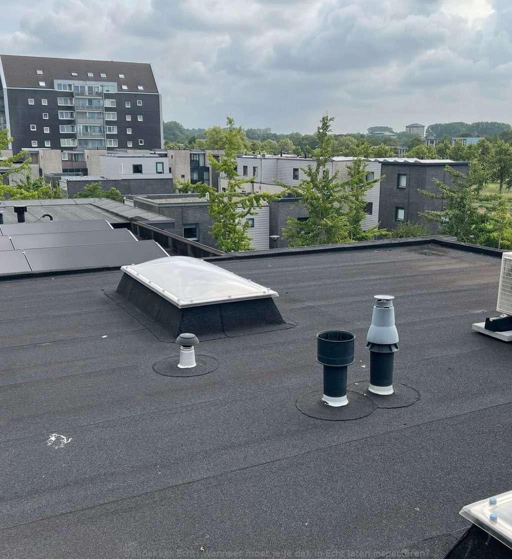 Dak Laten Inspecteren Echt