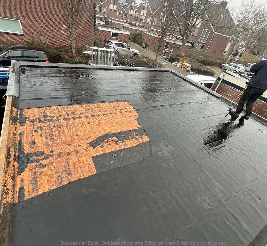 Dakleer Reparatie Echt