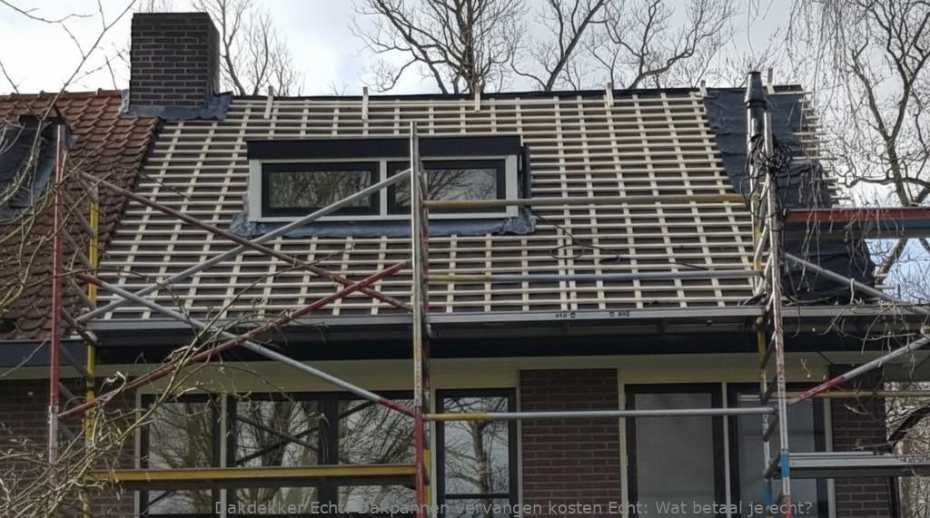 Dakpannen Vervangen Kosten Echt