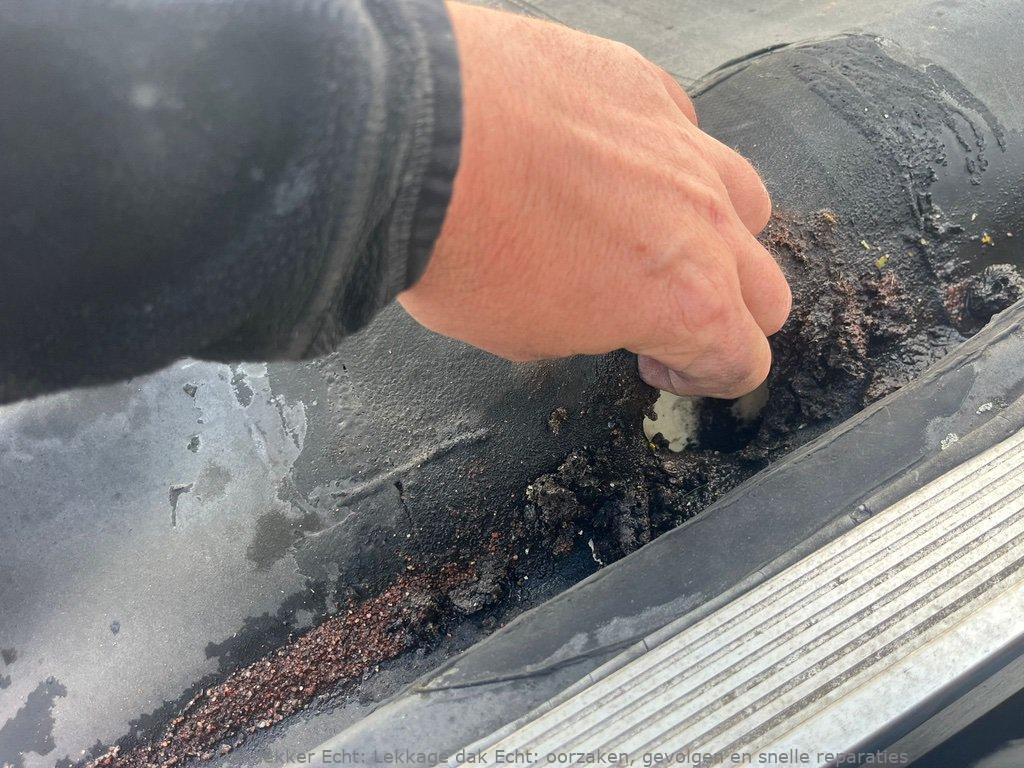 Lekkage Plat Dak Echt 1