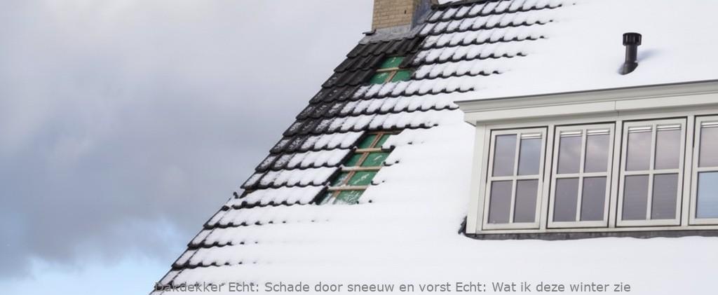 Schade Door Sneeuw En Vorst Echt