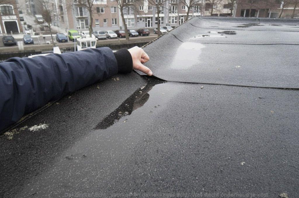 Voorkomen Daklekkages Echt